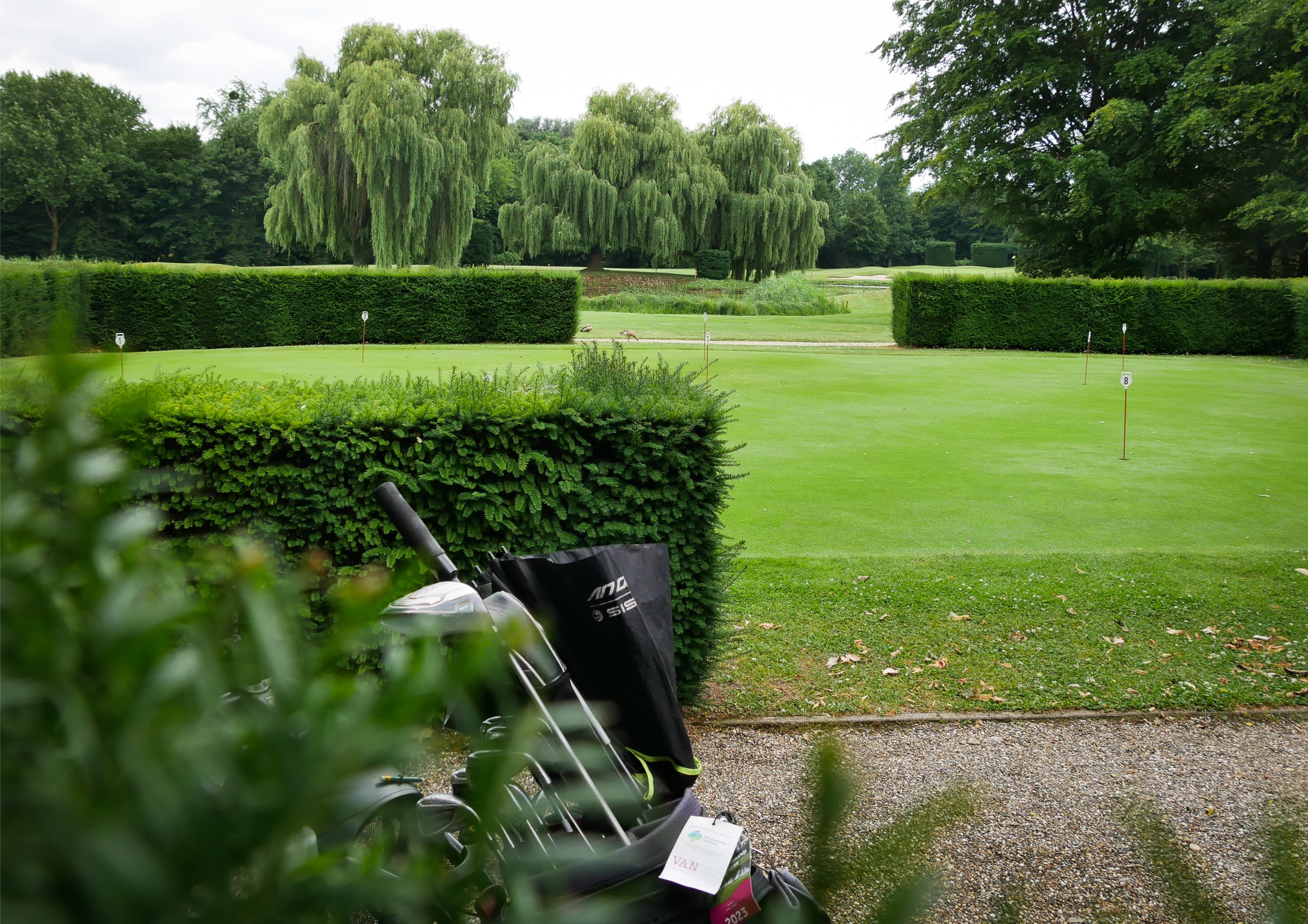 512670494_739044105320954_3249714398613862205_n